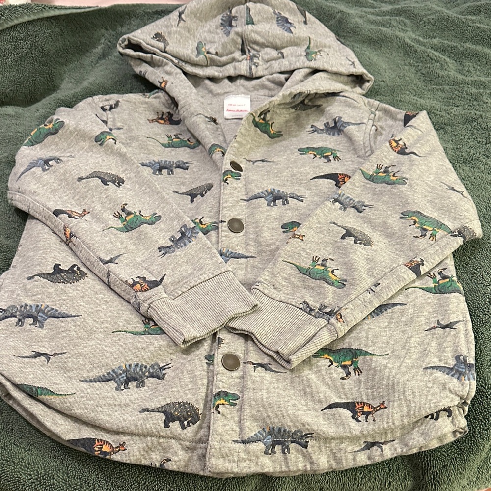 Hanna Andersson Gray Hoodie with Dinosaur Print